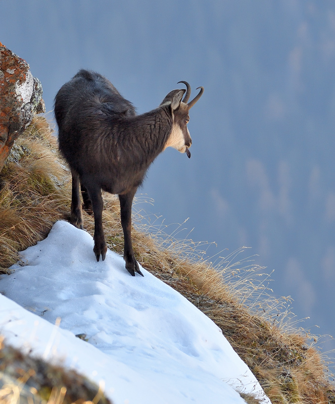 DS5_3188.jpg