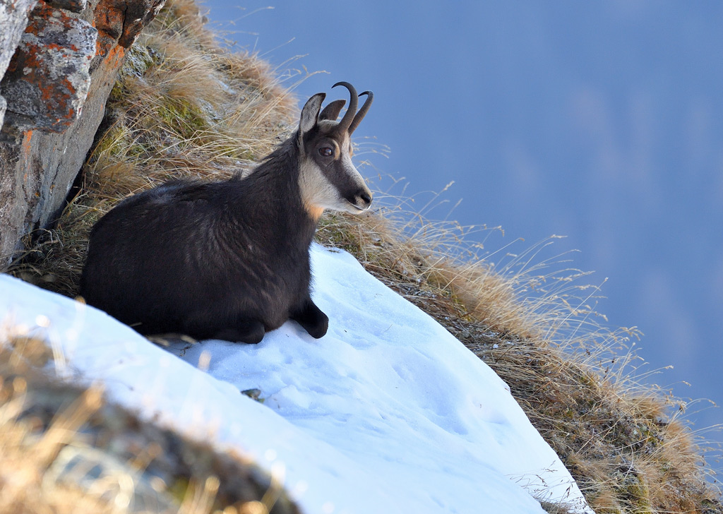 DS5_3203.jpg