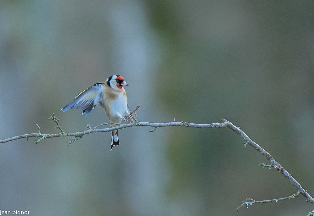 20122020-DSC_3216.JPG