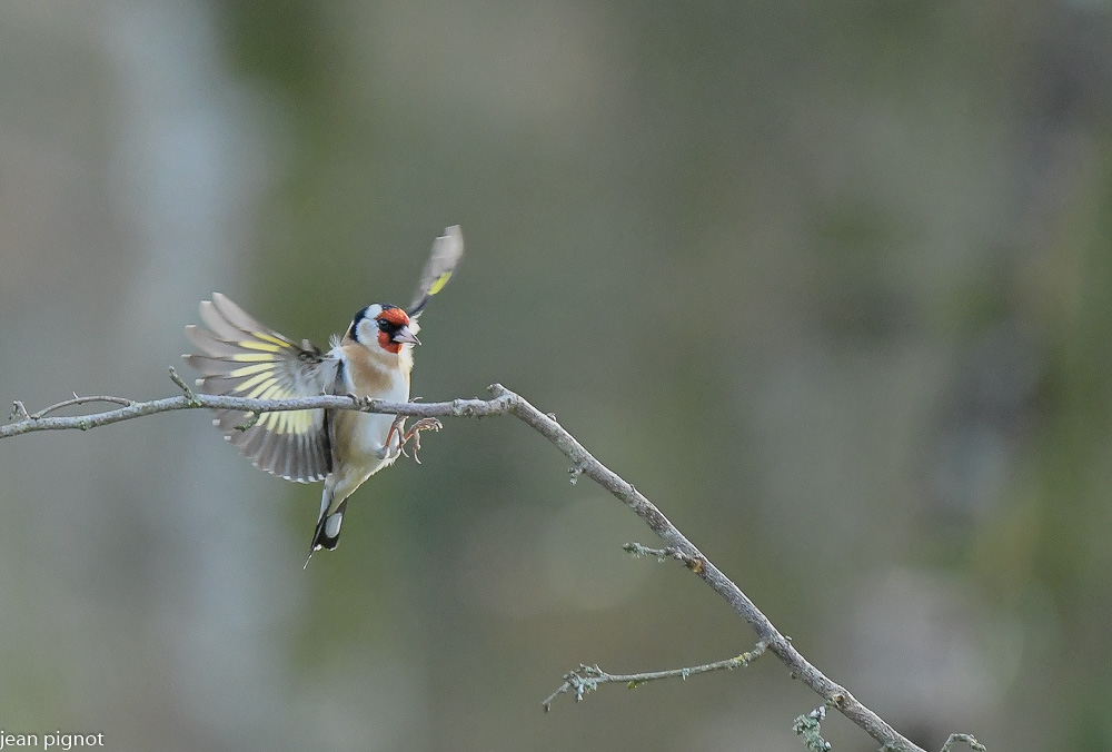 20122020-DSC_3244.JPG