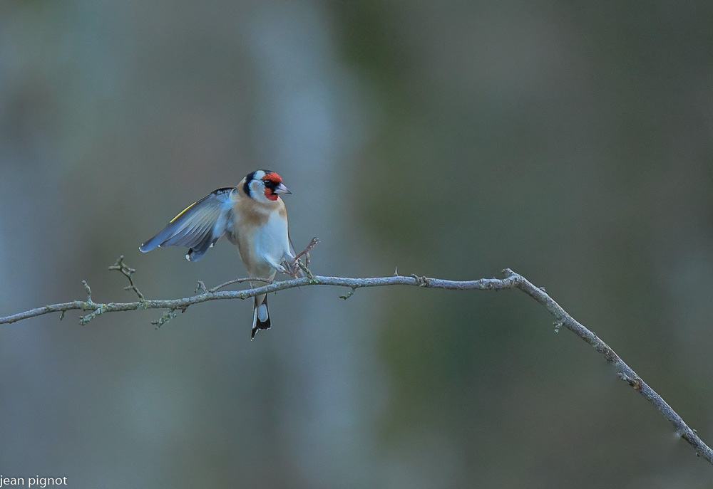 20122020-DSC_3216-2.JPG