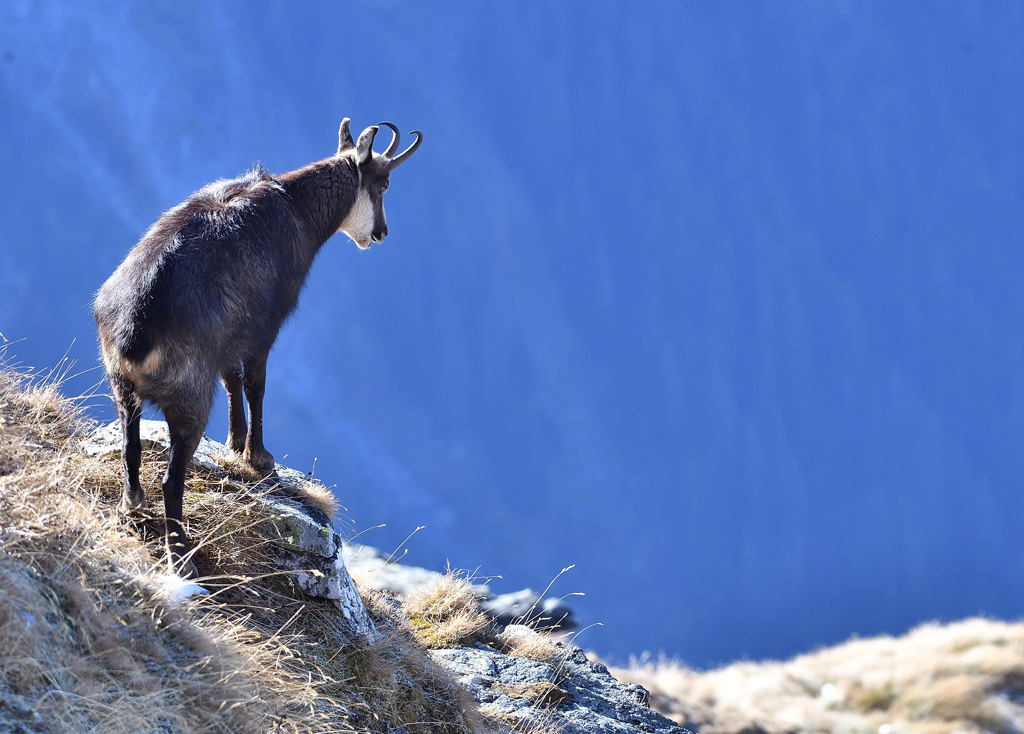 DS5_3215.jpg