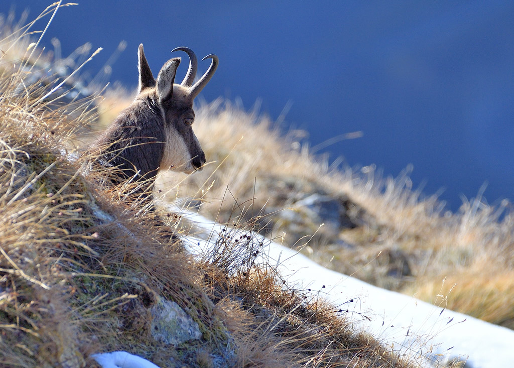 DS5_3229.jpg