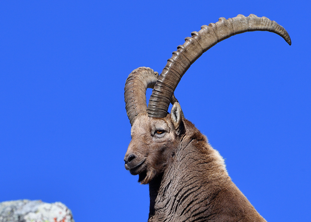 DS5_3250.jpg