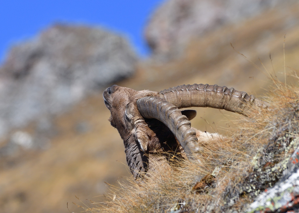 DS5_3256.jpg