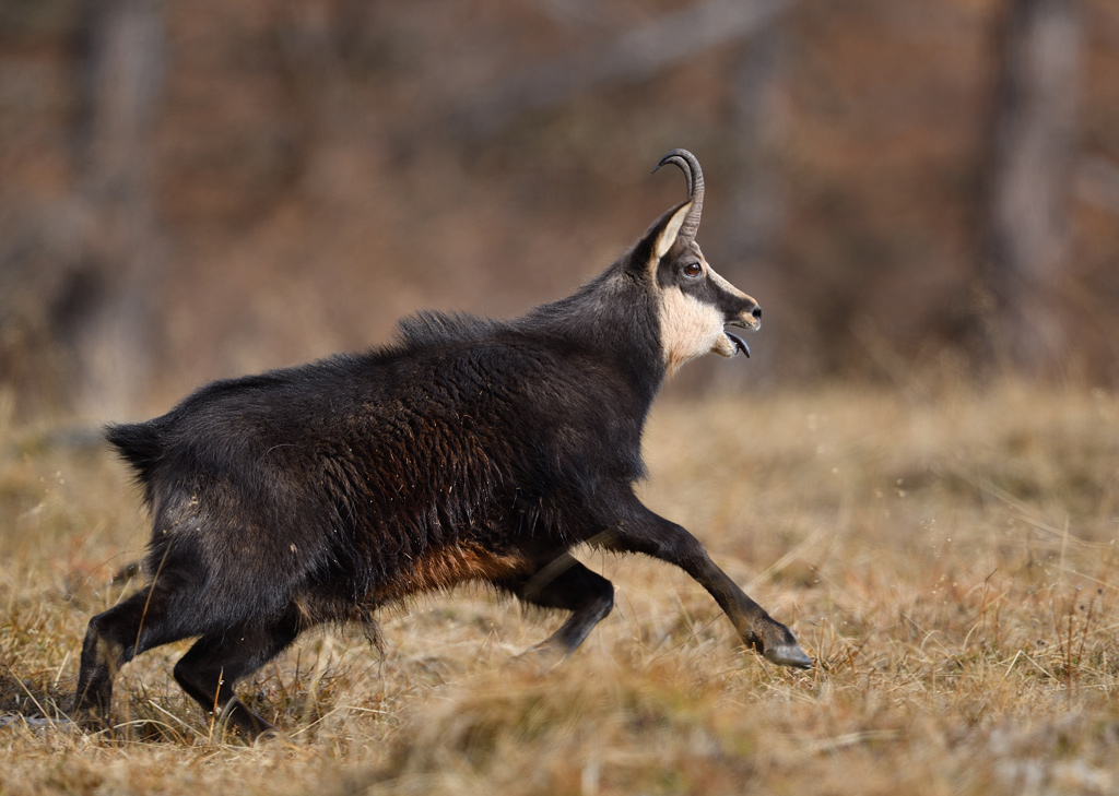 DS5_2972.jpg
