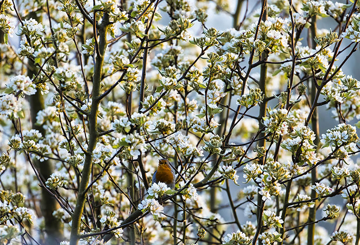 _W4A0545-2v2-Edit-min.jpg