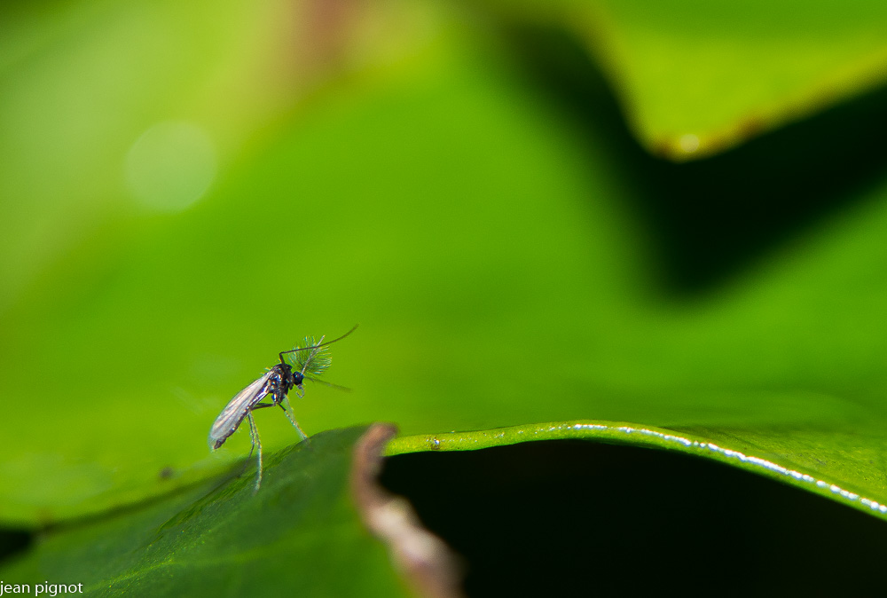 20122020-DSC_4196.JPG