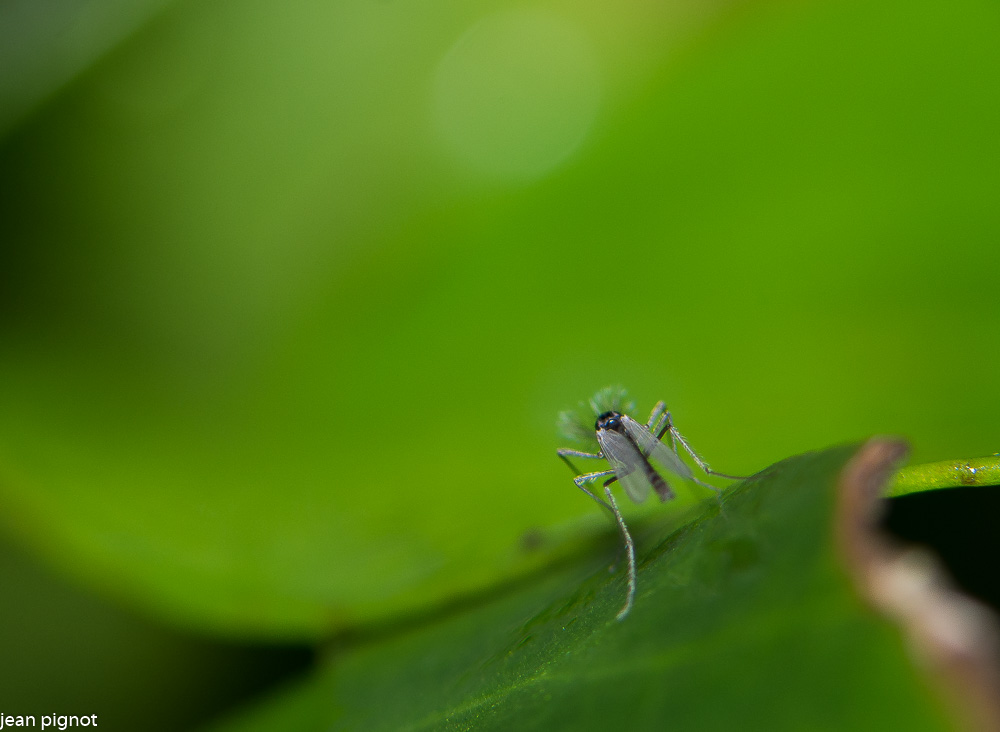 20122020-DSC_4202.JPG