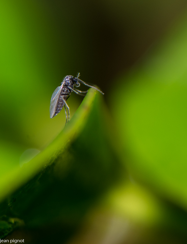 20122020-DSC_4212.JPG