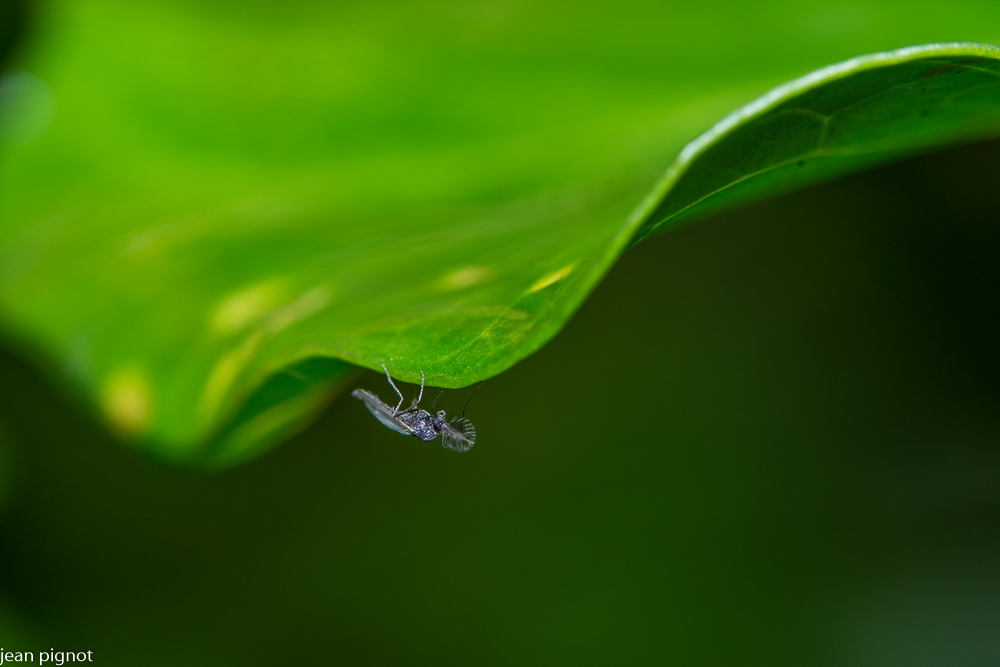 20122020-DSC_4233.JPG