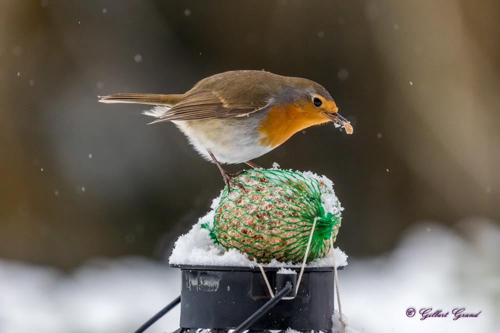 23012019-1U7A1491.jpg