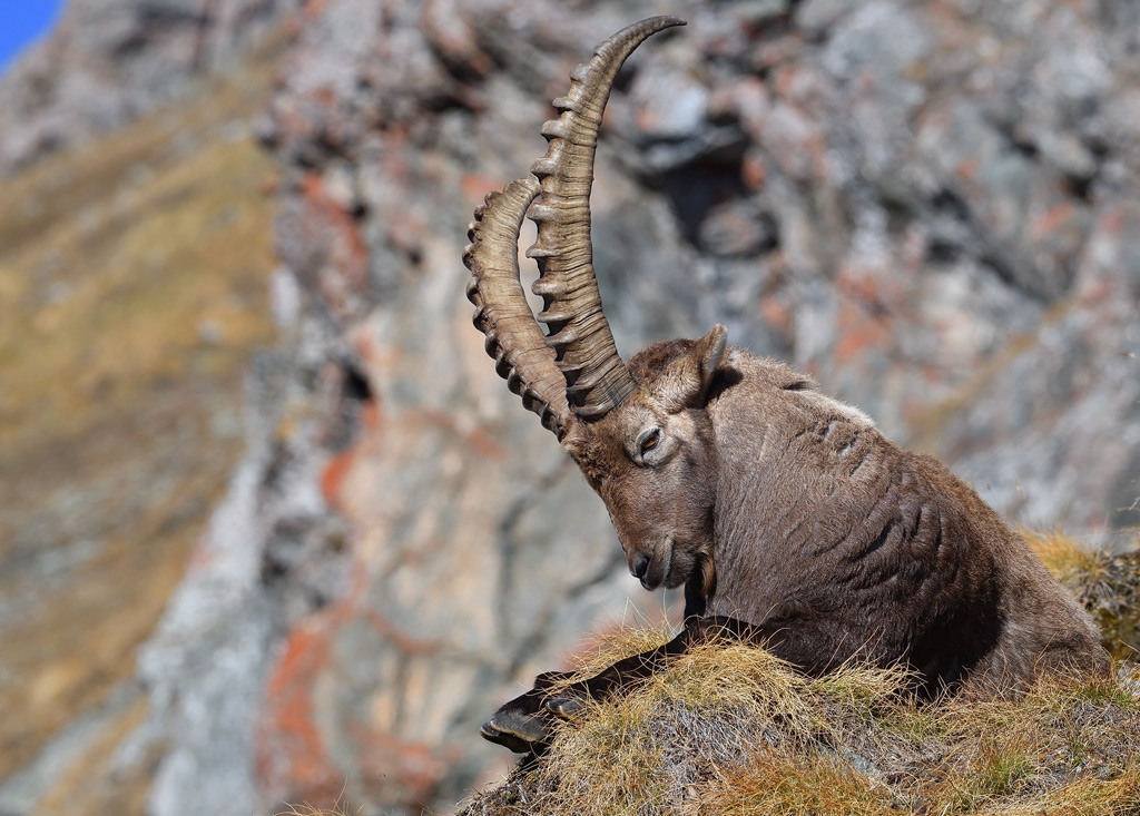 DS5_3272.jpg