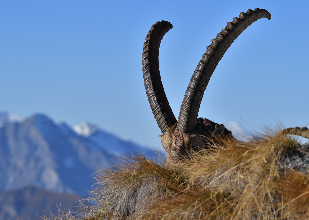 DS5_3301.jpg