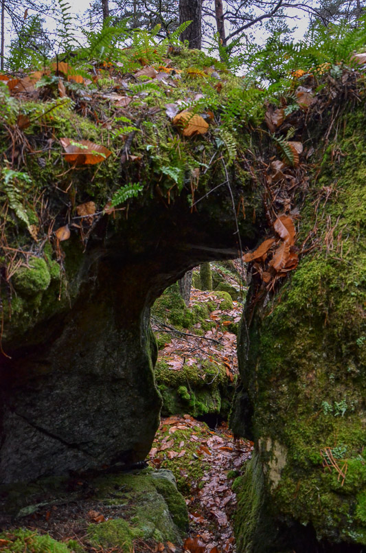 Bleau-2.jpg
