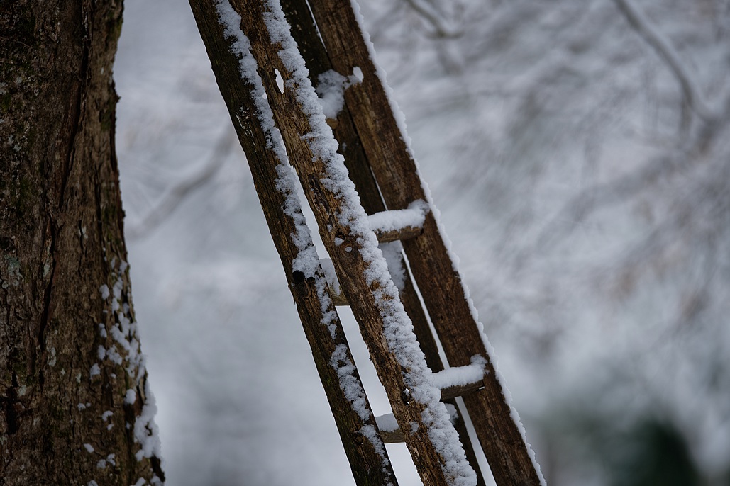 DSC_4027_DxO.jpg