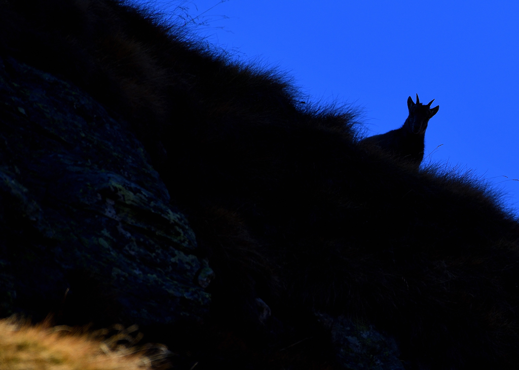 DS5_3316.jpg