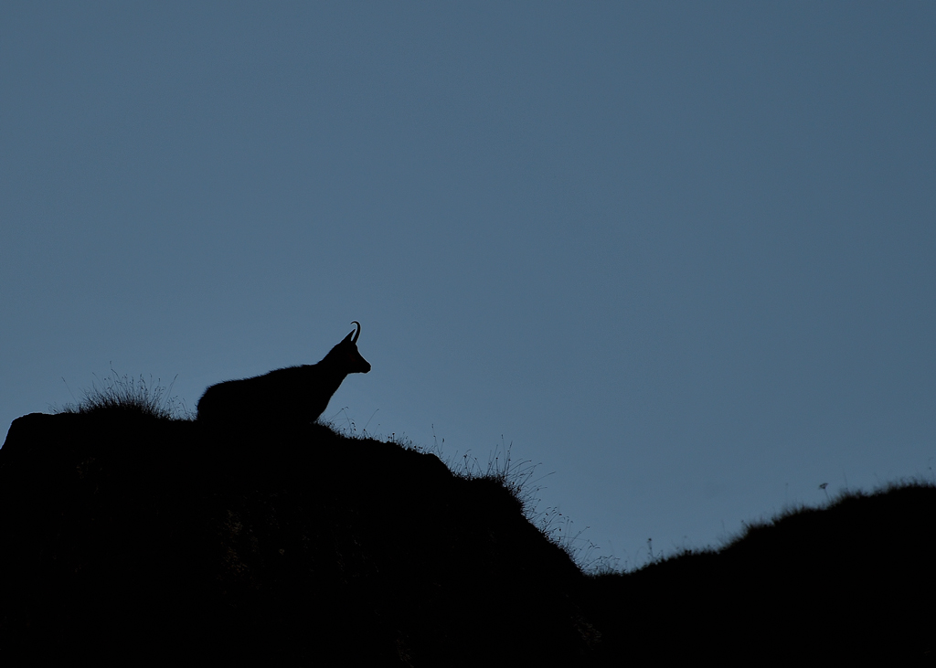 DS5_3320.jpg