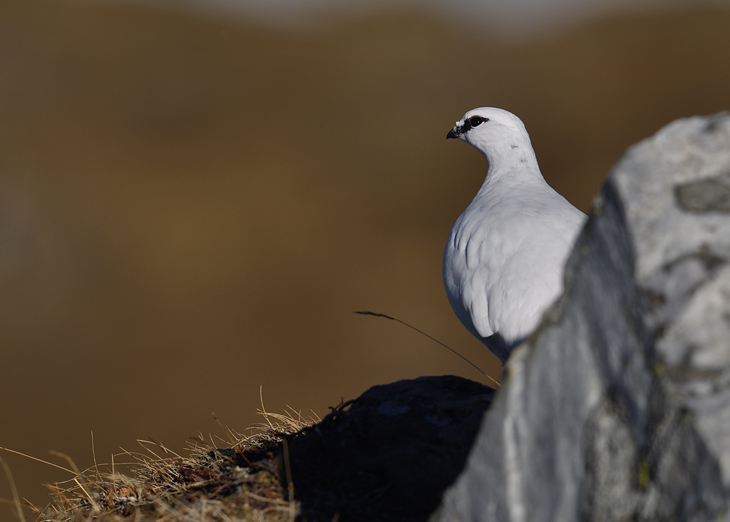 DS5_0028.jpg