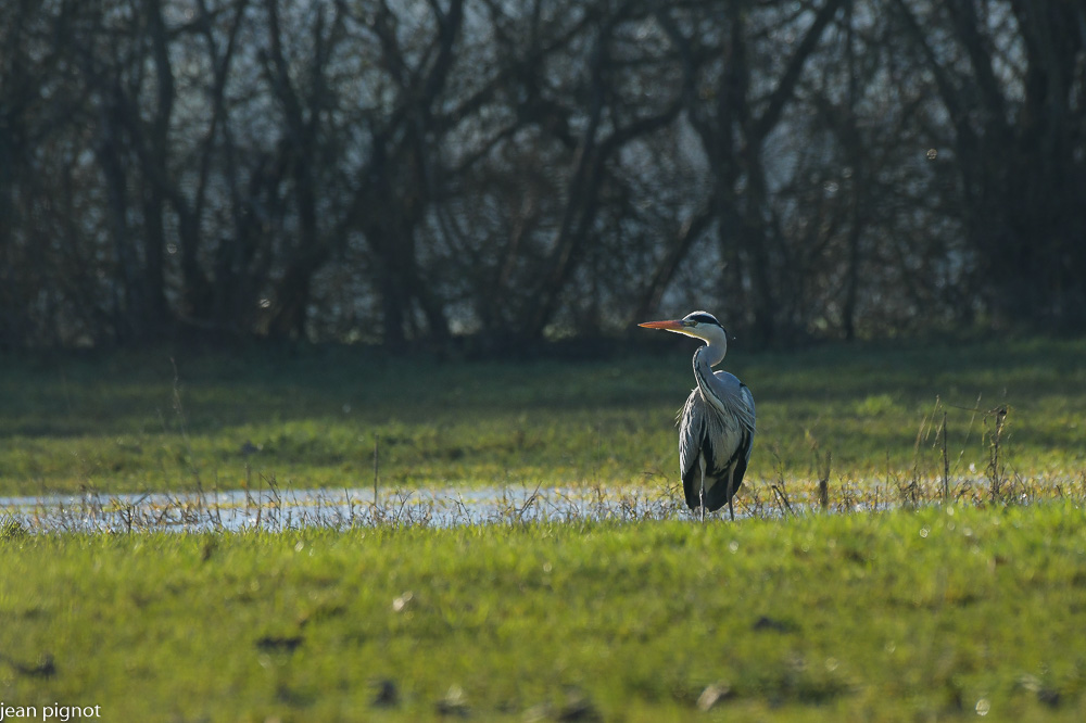09012021-DSC_7637.JPG