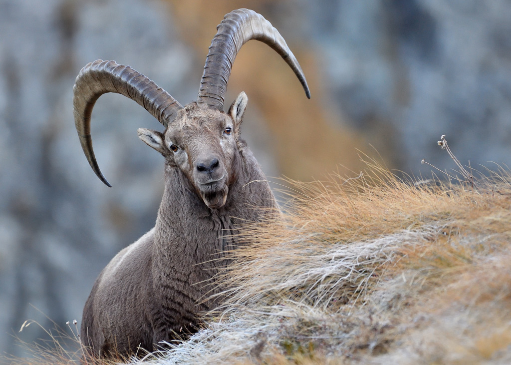 DS5_3084.jpg