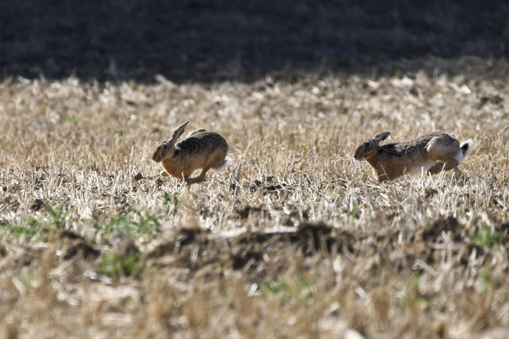 _DSC1640_DxO_00001_02.jpg