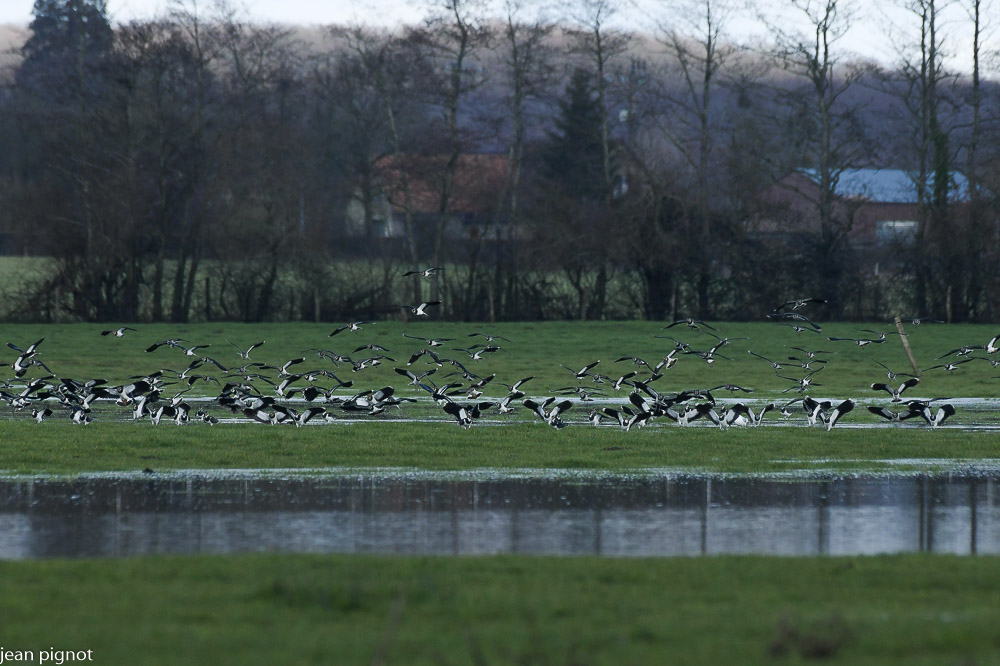 22012021-DSC_9351.JPG
