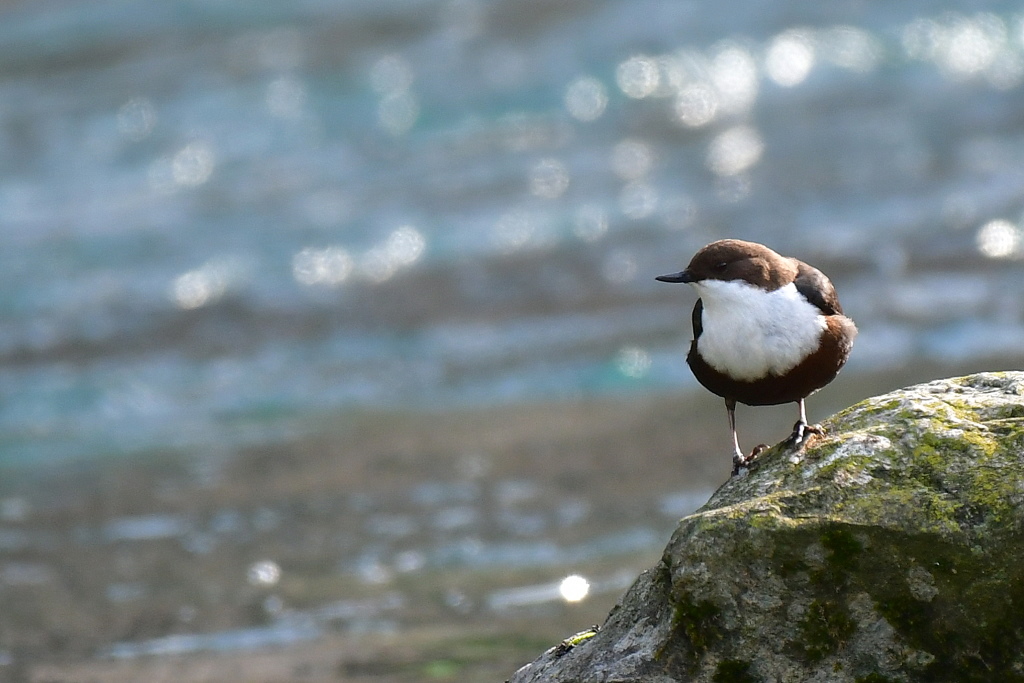 DSC_2325.JPG