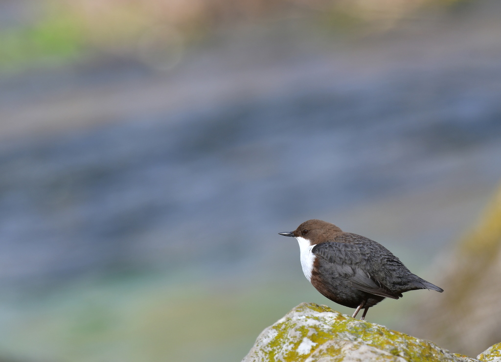 DSC_2419.JPG