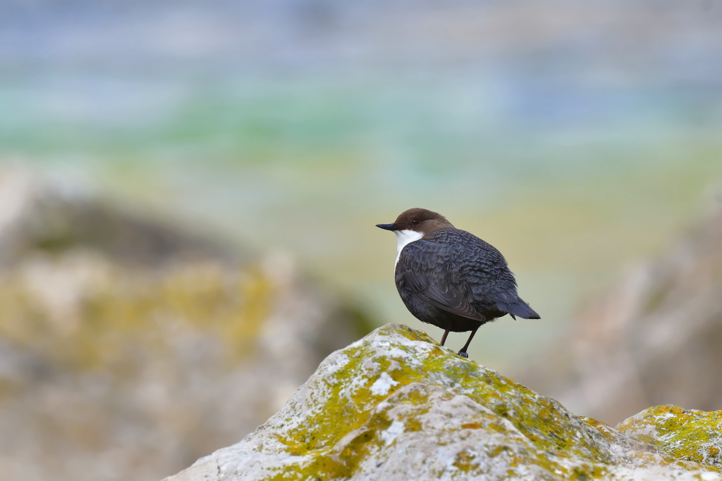 DSC_2468.JPG