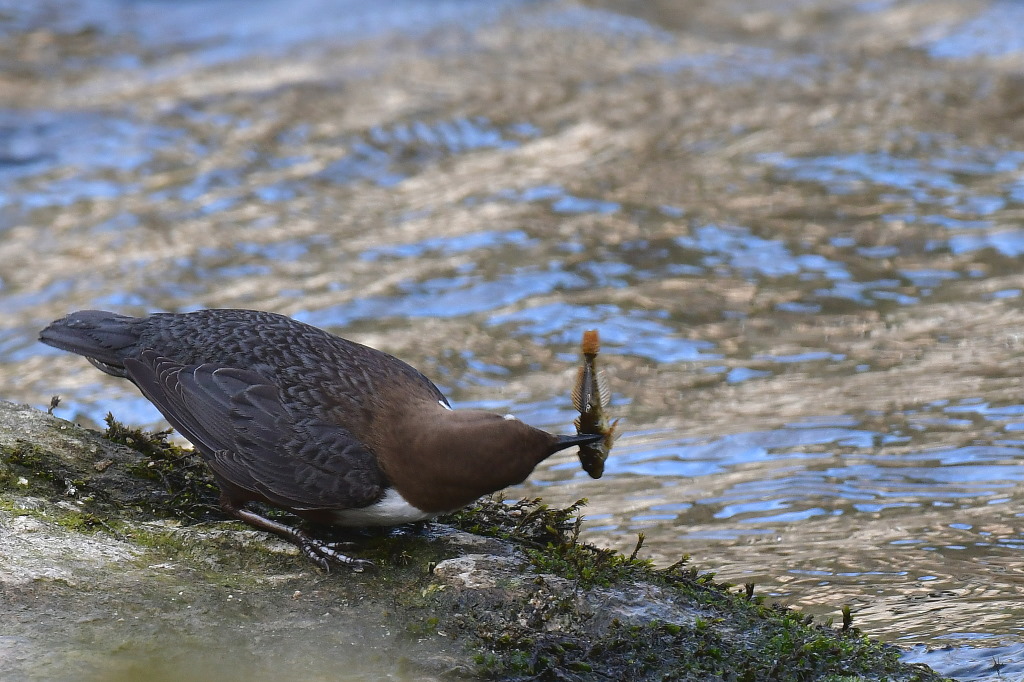 DSC_2505.JPG