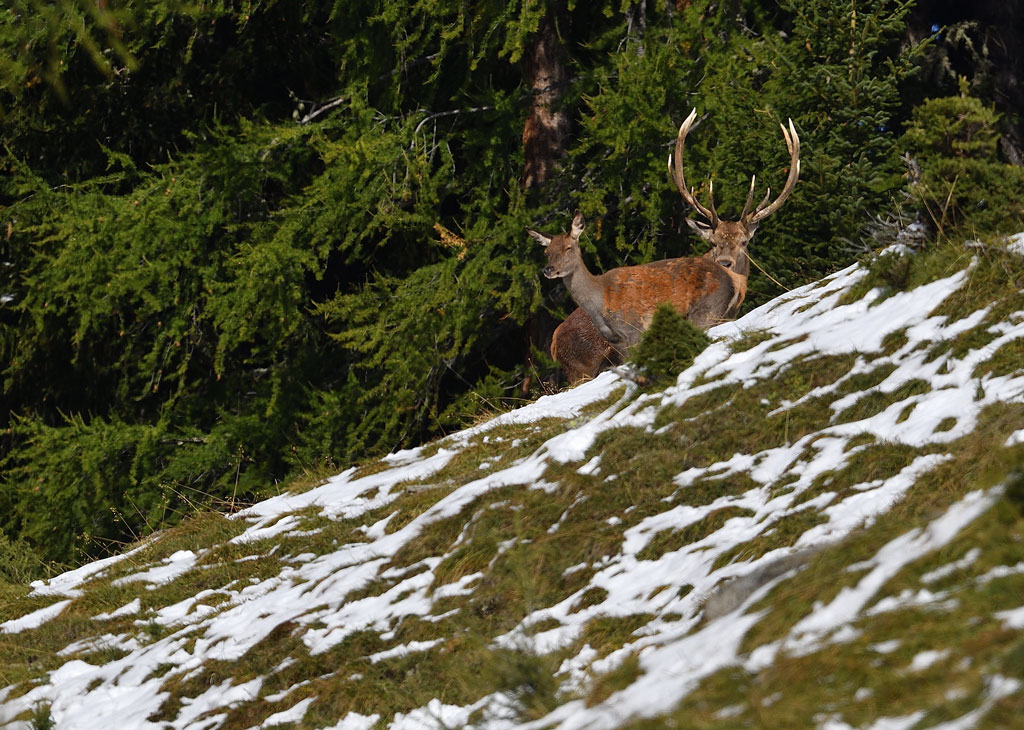 -DS5_1378.jpg