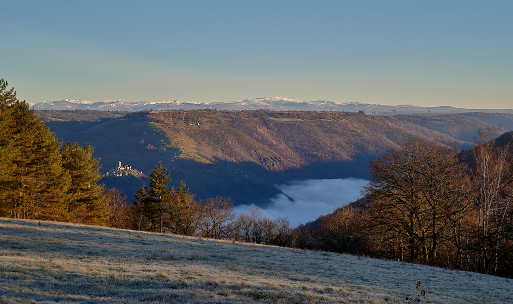 xDSC 2288 .jpg