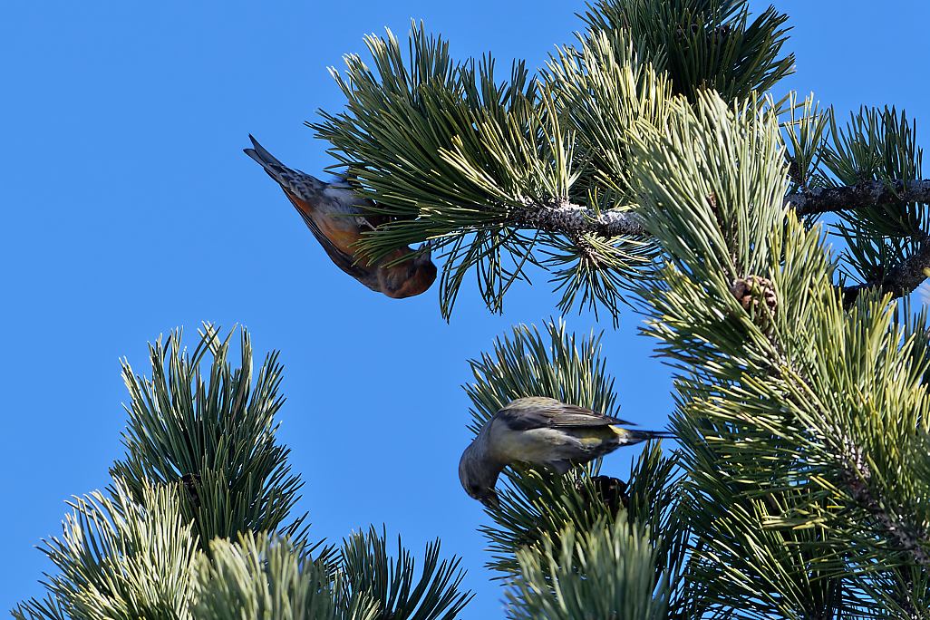 DSC_4740_DxO.jpg