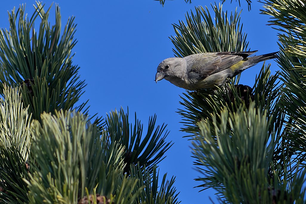 DSC_4745_DxO.jpg