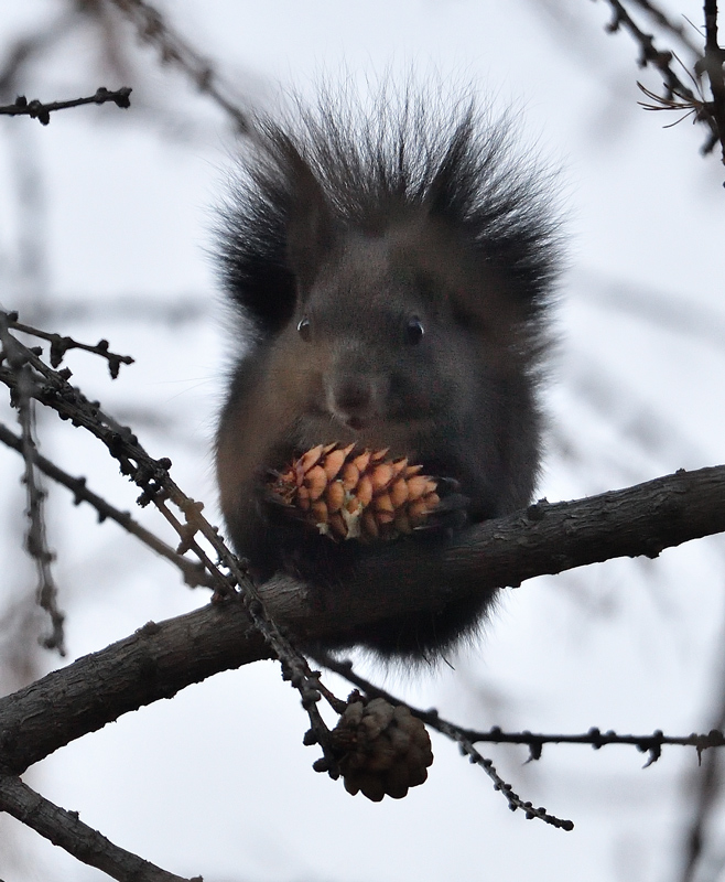 DS5_4252.jpg