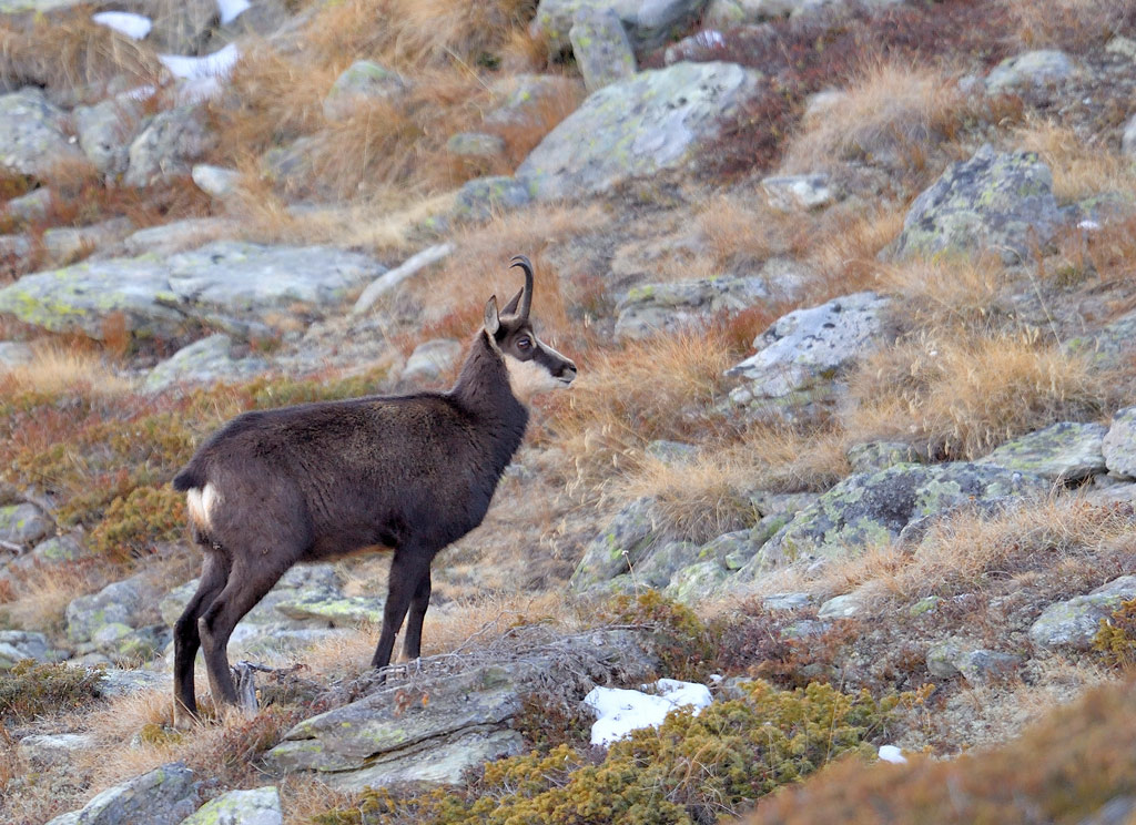DS5_4397.jpg