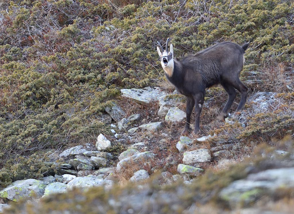 DS5_4413.jpg