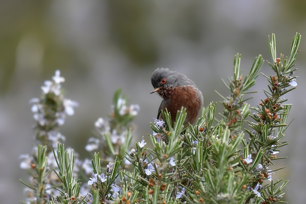 DSC_5494.JPG