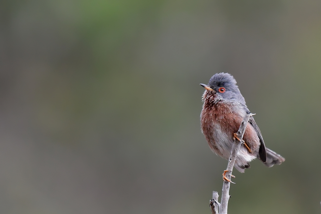 DSC_5547.JPG