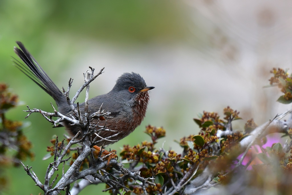 DSC_5561.JPG