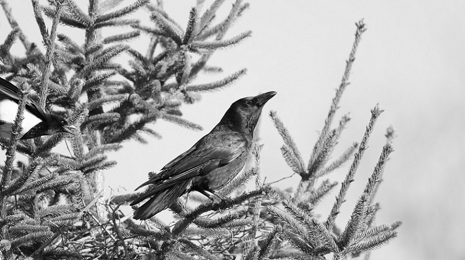 _DSC1410_DxO_4.jpg