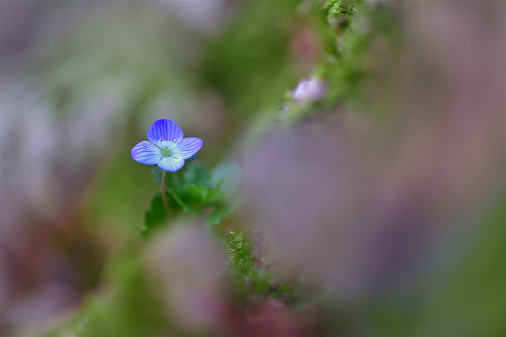 DSC_6574.jpg