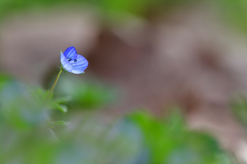 DSC_6473.jpg