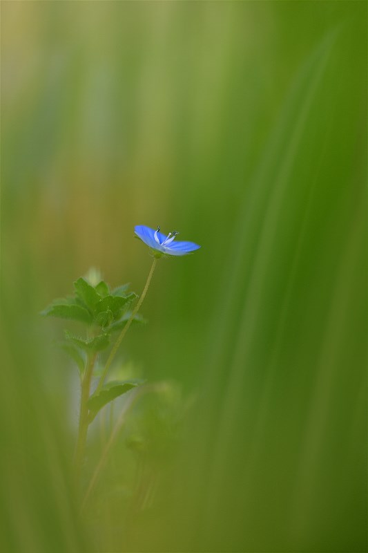 DSC_6613.jpg