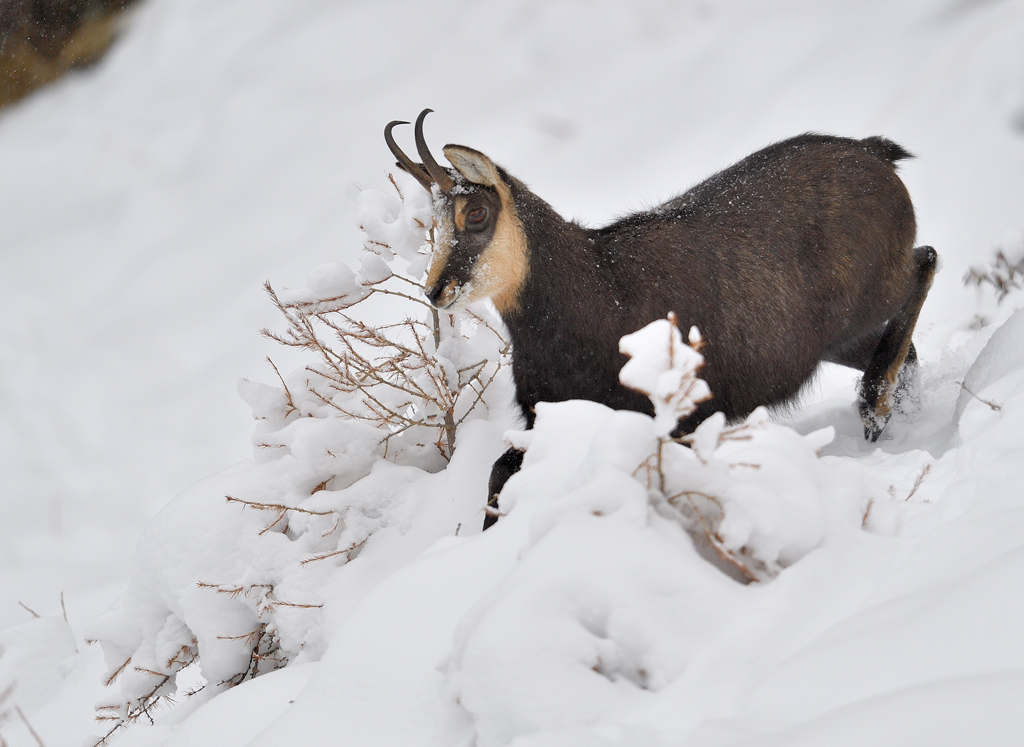 DS5_4599.jpg