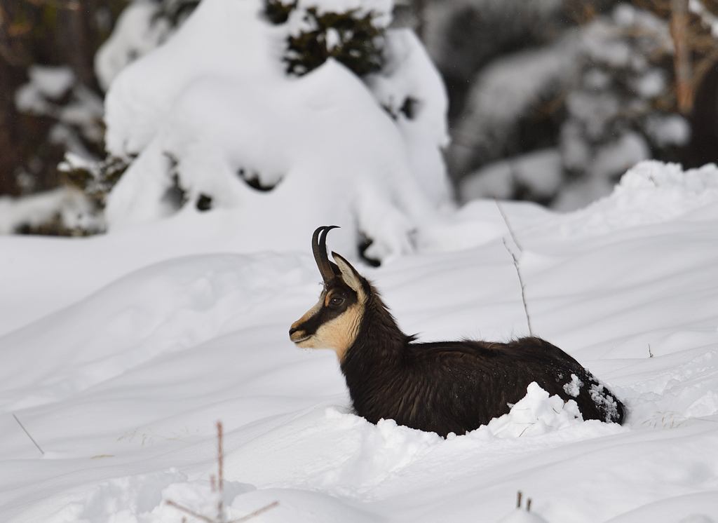 DS5_4645.jpg