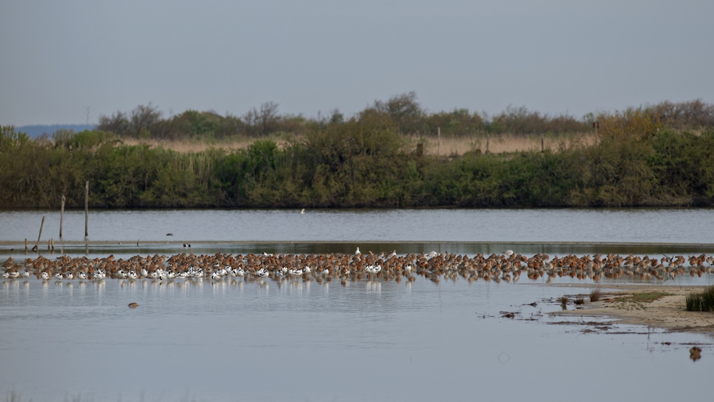 DSC_5790_DxO.jpg