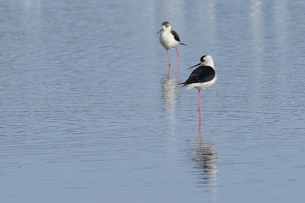 DSC_5832_DxO.jpg