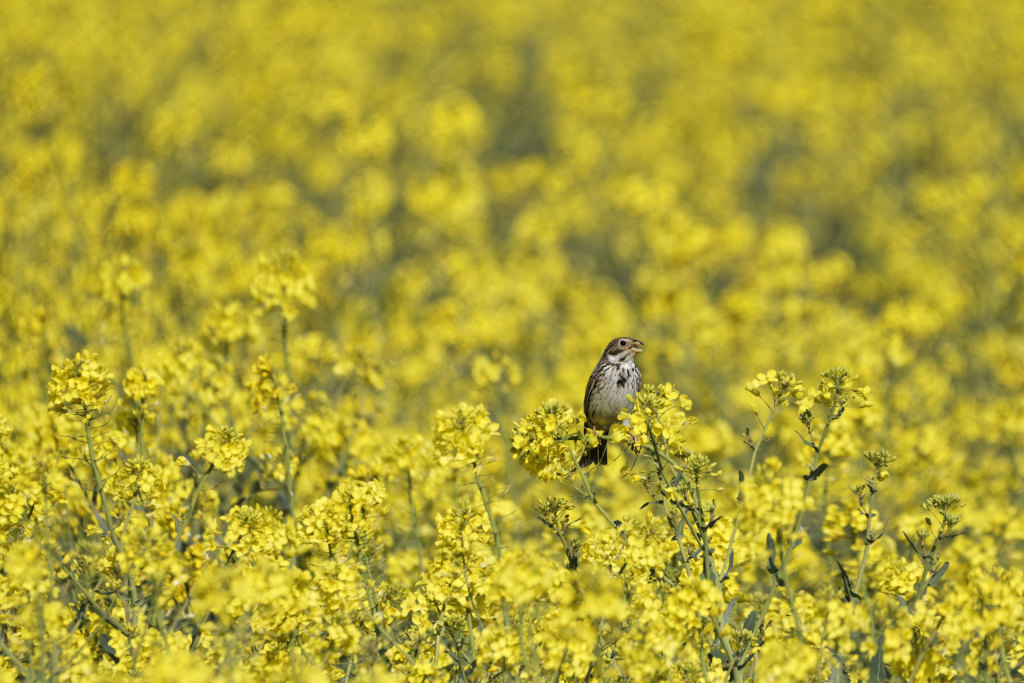 _DSC1646_DxO_DxO.jpg